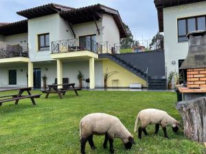 two sheep grazing in the grass in front of a house at Apartamentos Monterodiles in Liñero