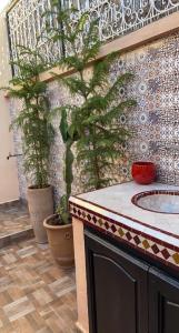 een keuken met twee potplanten op een muur bij Riad Darnooz in Marrakesh