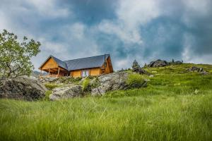 a wooden house on top of a grassy hill at Mariash Woodhouse - Beleg Mountains in Deçan