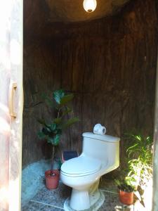a white toilet in a bathroom with a plant at Momotus Glamping in Florencia