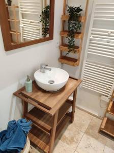 La salle de bains est pourvue d'un lavabo et d'un miroir. dans l'établissement Charmant appartement avec terrasse proche Paris, à Le Perreux-Sur-Marne