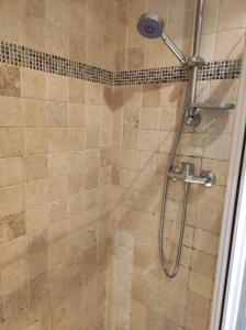 La salle de bains est pourvue d'une douche avec un pommeau de douche. dans l'établissement Charmant appartement avec terrasse proche Paris, à Le Perreux-Sur-Marne