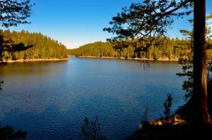 uitzicht op een meer met bomen op de achtergrond bij Lake and Forest Hideaway in Årjäng