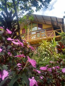 Zahrada ubytování Eco Hotel Manu Viajeros