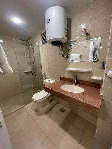 Koupelna v ubytování Royal Hotel Assiut