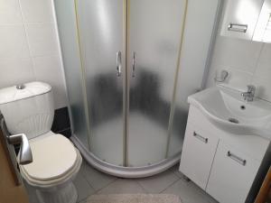 a bathroom with a shower and a toilet and a sink at Apartmani Jokic in Zlatibor +50 photos