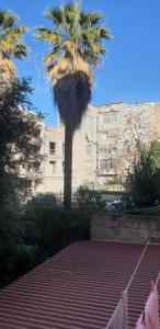 una palmera delante de un edificio en Casa vacanze Cagliari,, en Cagliari