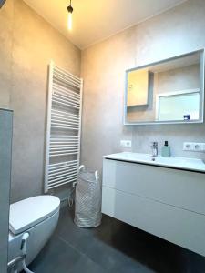 ein Badezimmer mit einem Waschbecken, einem WC und einem Spiegel in der Unterkunft Penthouse with Garden and Parking in Center- KPG in Luxemburg (Stadt)