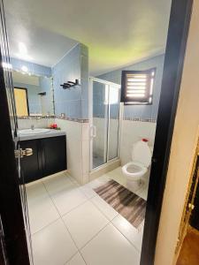 een badkamer met een toilet, een wastafel en een douche bij Hotel Rincon Rubi in Las Galeras