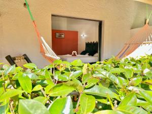 Zahrada ubytování Hotel Rincon Rubi