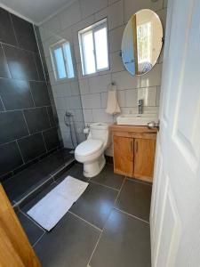 a bathroom with a toilet and a sink and a mirror at Cabañas Borde Lindo in Valdivia