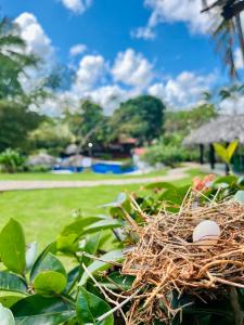 Zahrada ubytování Hotel Rincon Rubi