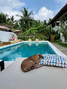 Bazén v ubytování Parrots Boutique Resort nebo v jeho okolí