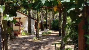 un camino a través de los árboles en un jardín en Cabaña Morena en Mar de las Pampas
