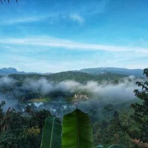 Imagen de la galería de Flower hill 180, en Chiang Rai