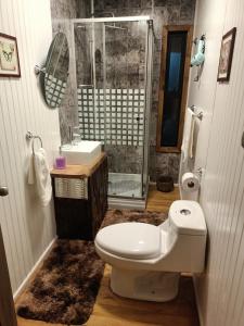 a bathroom with a toilet and a shower at CABAÑAS RAYEN HUILLINCO in Chonchi