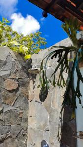 un mur en pierre avec une plante devant elle dans l'établissement Mirabelle Joglo Village, à Karimunjawa