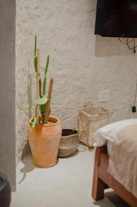 a plant in a pot sitting next to a bed at VV House Quy Nhon Homestay in Quy Nhon