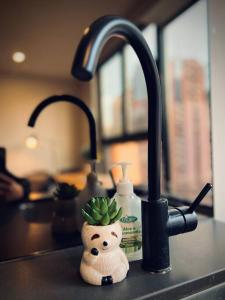 um balcão de cozinha com um lavatório com uma planta num suporte em Comfort City Living 2 Bedroom In Heart of CBD em Melbourne