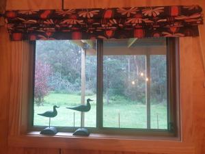 Giardino di The Shed at Port Arthur. Hidden Gem.