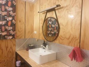 een badkamer met een witte wastafel en een spiegel bij The Shed at Port Arthur. Hidden Gem. in Port Arthur