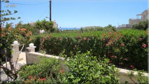 A garden outside Ampelos apartment and studios