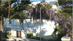 A garden outside Ampelos apartment and studios