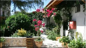A garden outside Ampelos apartment and studios
