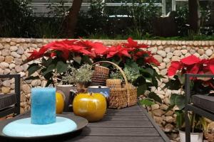 A garden outside Elegant Seaside 2 Floor Apartment