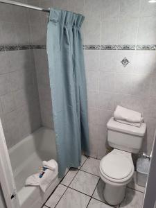 ein Bad mit einem WC und einer Dusche mit einem Duschvorhang in der Unterkunft Budget Inn in North Hills