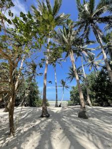 a group of palm trees on a sandy beach at Marahuyo - Off-grid, beachfront, private cabin in Taytay