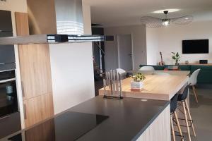 kuchnia i salon z blatem w obiekcie Maison Passive avec piscine proche Colmar w mieście Logelheim