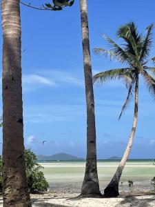two palm trees on a beach with the ocean at Marahuyo - Off-grid, beachfront, private cabin in Taytay