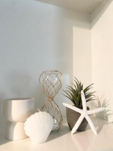 a group of objects sitting on a shelf with a plant at Cozy Cool Getaway in Townsville