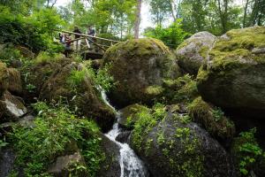 people walking on a bridge over a waterfall in a forest at Terrassenpark Apartments (low budget) in Sasbachwalden