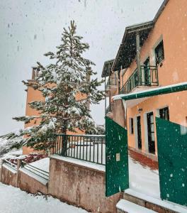 a snow covered tree in front of a building at Muses Apartments in Pisoderi