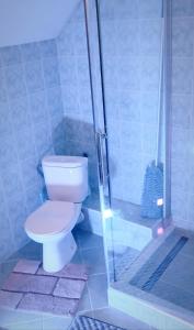 a bathroom with a toilet and a shower at Apartmány Bistár in Zuberec