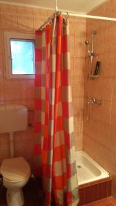 a bathroom with a toilet and a shower curtain at Vila Roseta in Cărbunari