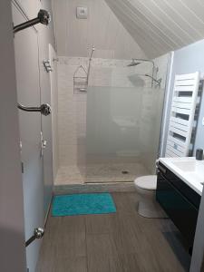 a bathroom with a shower and a toilet and a sink at Virtuel Spa in Achicourt