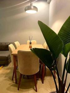 a dining room table with chairs and a plant at Appartement avec piscine et jacuzzi privé in Casablanca