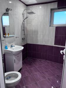 uma casa de banho com um WC e um lavatório em Семеен Хотел Сестримо 