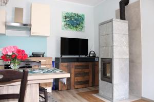 Kuchyňa alebo kuchynka v ubytovaní Appartement ROSalia