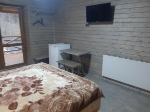 TV a/nebo společenská místnost v ubytování Садиба у Курила з сауною та чаном на дровах