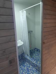 Koupelna v ubytování Садиба у Курила з сауною та чаном на дровах