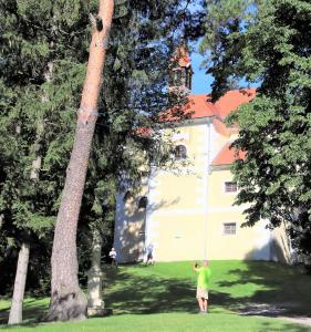 Vonkajšia záhrada v ubytovaní Appartement ROSalia