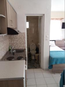 a kitchen with a sink and a toilet in a room at AZALEA HOTEL in Sarti