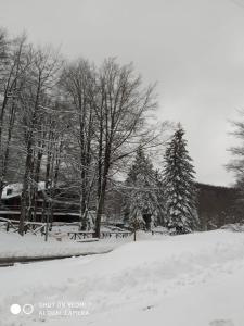 un parque cubierto de nieve con árboles y bancos en Casa nel bosco, en Livata