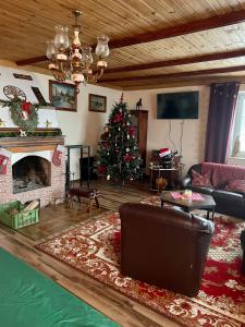 a living room with a christmas tree and a couch at Willa Toskania in Lądek-Zdrój