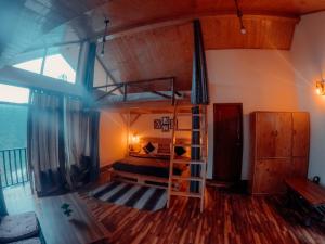 a bedroom with a bunk bed and a ladder at Roamate Hostel, Old Manali in Manāli