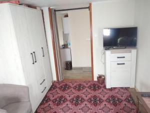 a living room with a tv and a red rug at Vila MARA in Mokra Gora